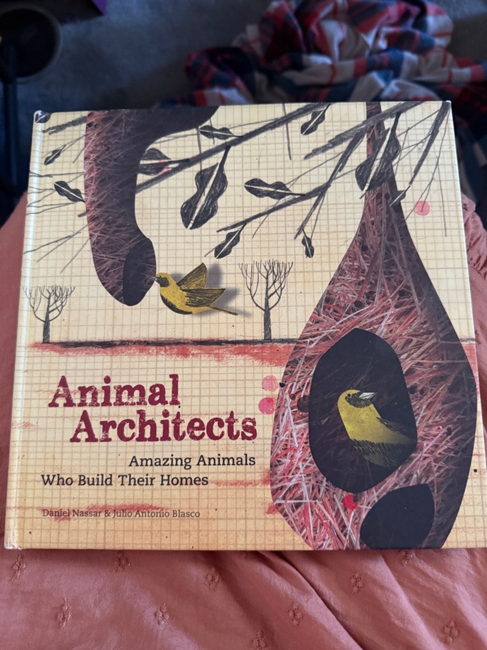 Animal Architects Hardcover Coffee Table Book - Yellow & Brown Cover